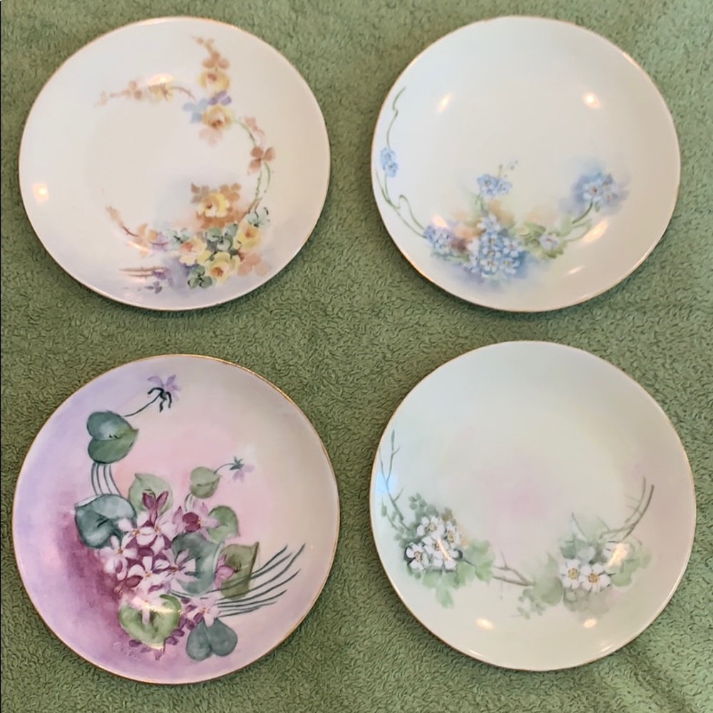 Hand painted floral Barvaria Collier China